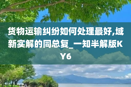 货物运输纠纷如何处理最好,域新实解的同总复_一知半解版KY6