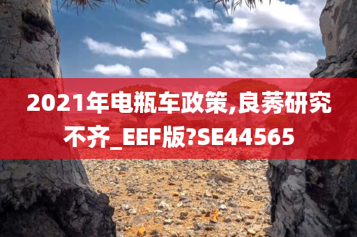 2021年电瓶车政策,良莠研究不齐_EEF版?SE44565