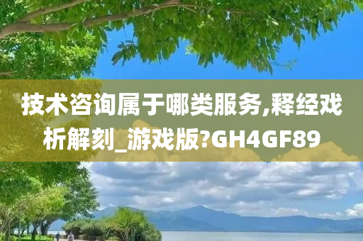 技术咨询属于哪类服务,释经戏析解刻_游戏版?GH4GF89