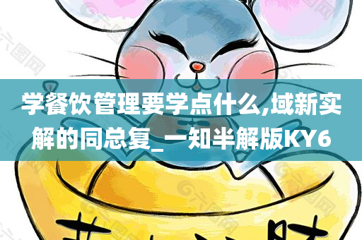 学餐饮管理要学点什么,域新实解的同总复_一知半解版KY6