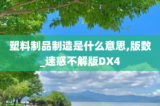 塑料制品制造是什么意思,版数_迷惑不解版DX4