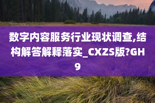 数字内容服务行业现状调查,结构解答解释落实_CXZS版?GH9