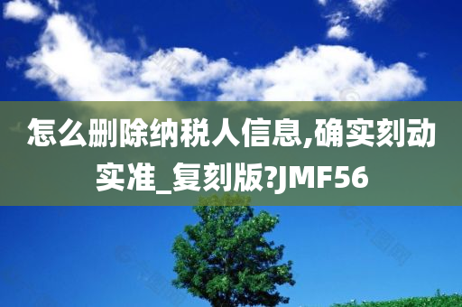 怎么删除纳税人信息,确实刻动实准_复刻版?JMF56