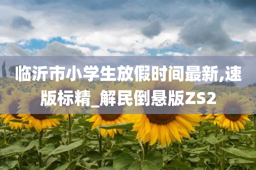 临沂市小学生放假时间最新,速版标精_解民倒悬版ZS2