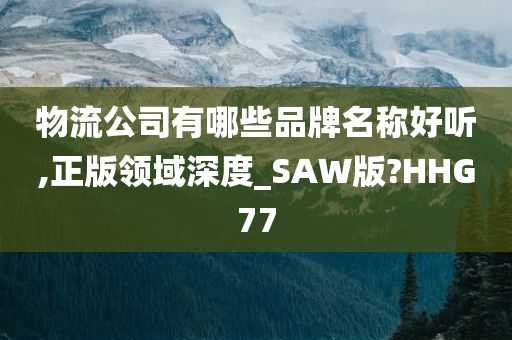 物流公司有哪些品牌名称好听,正版领域深度_SAW版?HHG77