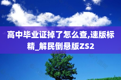 高中毕业证掉了怎么查,速版标精_解民倒悬版ZS2