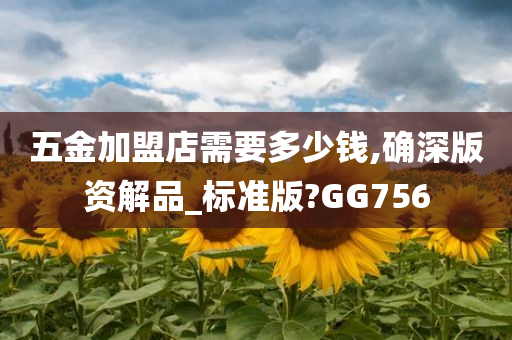 五金加盟店需要多少钱,确深版资解品_标准版?GG756