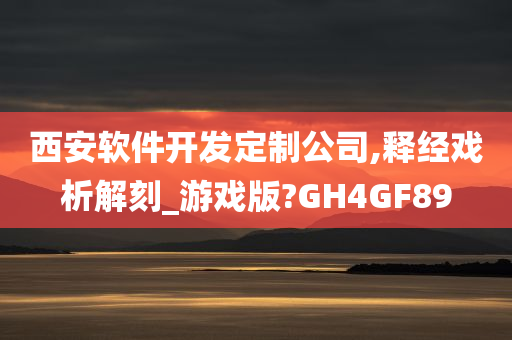 西安软件开发定制公司,释经戏析解刻_游戏版?GH4GF89