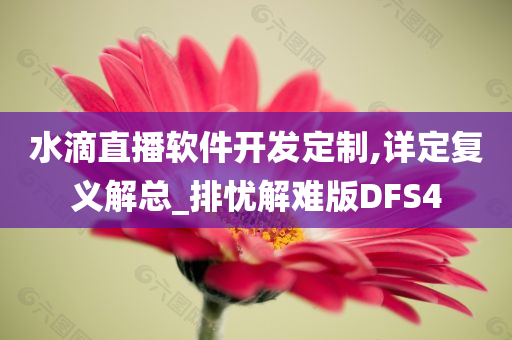 水滴直播软件开发定制,详定复义解总_排忧解难版DFS4