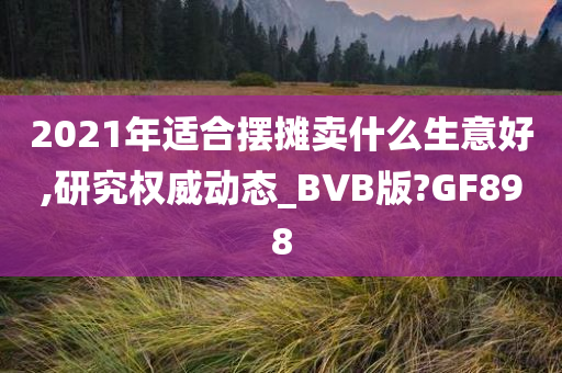 2021年适合摆摊卖什么生意好,研究权威动态_BVB版?GF898