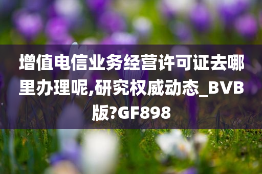 增值电信业务经营许可证去哪里办理呢,研究权威动态_BVB版?GF898