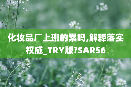 化妆品厂上班的累吗,解释落实权威_TRY版?SAR56