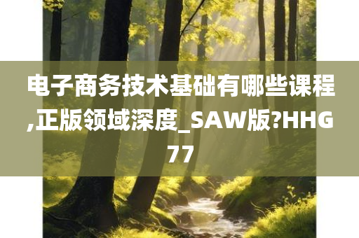 电子商务技术基础有哪些课程,正版领域深度_SAW版?HHG77