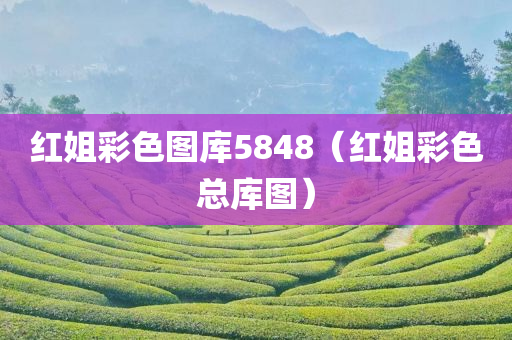 红姐彩色图库5848（红姐彩色总库图）