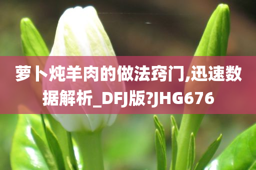 萝卜炖羊肉的做法窍门,迅速数据解析_DFJ版?JHG676