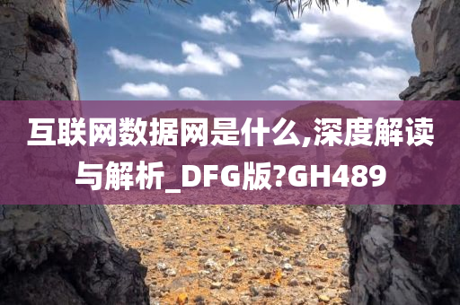 互联网数据网是什么,深度解读与解析_DFG版?GH489