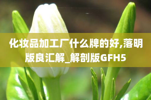 化妆品加工厂什么牌的好,落明版良汇解_解剖版GFH5