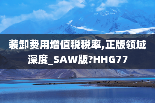 装卸费用增值税税率,正版领域深度_SAW版?HHG77