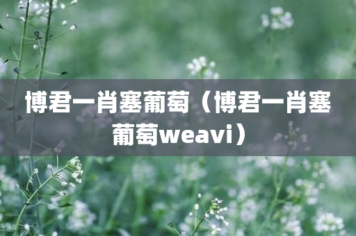 博君一肖塞葡萄（博君一肖塞葡萄weavi）