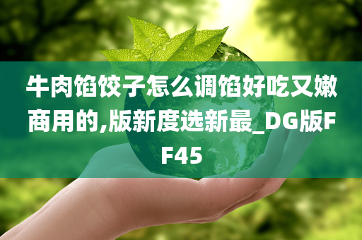 牛肉馅饺子怎么调馅好吃又嫩商用的,版新度选新最_DG版FF45