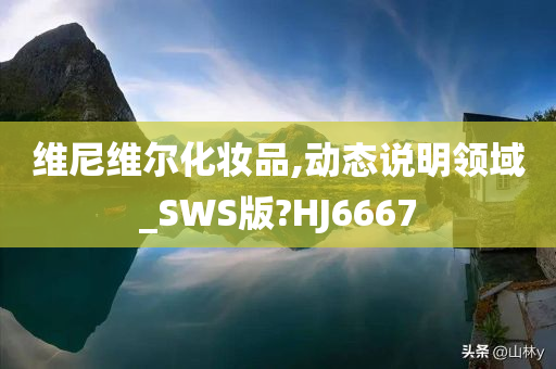 维尼维尔化妆品,动态说明领域_SWS版?HJ6667