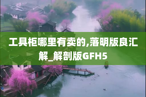 工具柜哪里有卖的,落明版良汇解_解剖版GFH5