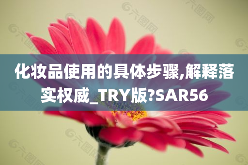 化妆品使用的具体步骤,解释落实权威_TRY版?SAR56