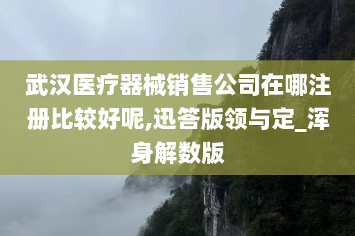 武汉医疗器械销售公司在哪注册比较好呢,迅答版领与定_浑身解数版