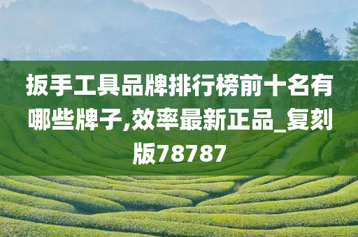 扳手工具品牌排行榜前十名有哪些牌子,效率最新正品_复刻版78787