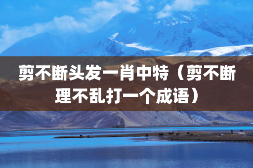 剪不断头发一肖中特（剪不断理不乱打一个成语）