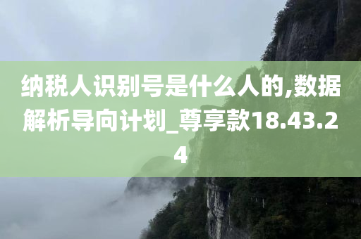 纳税人识别号是什么人的,数据解析导向计划_尊享款18.43.24