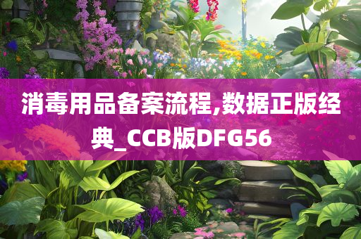 消毒用品备案流程,数据正版经典_CCB版DFG56