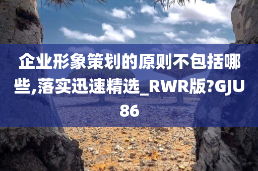 企业形象策划的原则不包括哪些,落实迅速精选_RWR版?GJU86