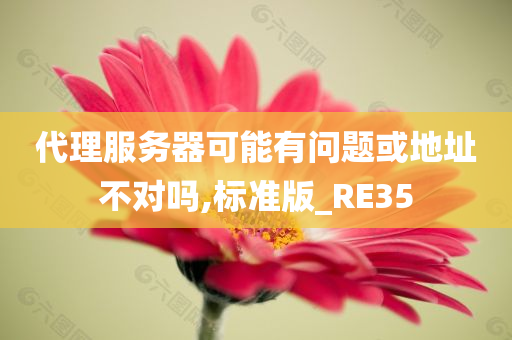 代理服务器可能有问题或地址不对吗,标准版_RE35