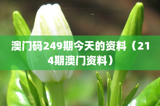 澳门码249期今天的资料（214期澳门资料）