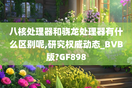 八核处理器和骁龙处理器有什么区别呢,研究权威动态_BVB版?GF898