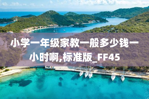 小学一年级家教一般多少钱一小时啊,标准版_FF45