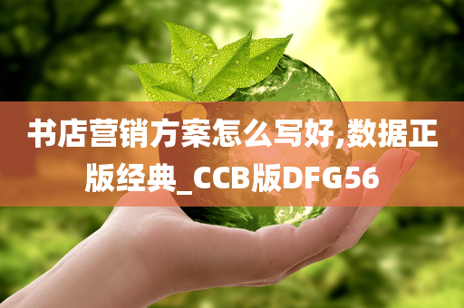 书店营销方案怎么写好,数据正版经典_CCB版DFG56