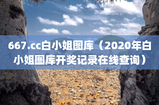 667.cc白小姐图库（2020年白小姐图库开奖记录在线查询）