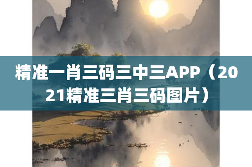 精准一肖三码三中三APP（2021精准三肖三码图片）