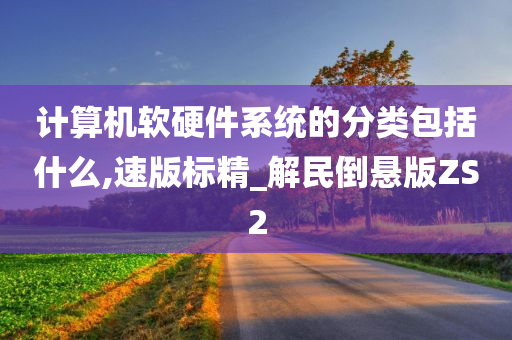 计算机软硬件系统的分类包括什么,速版标精_解民倒悬版ZS2