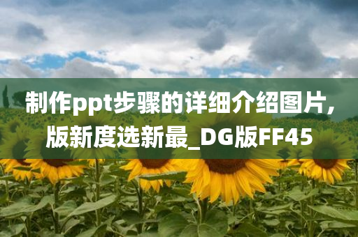 制作ppt步骤的详细介绍图片,版新度选新最_DG版FF45