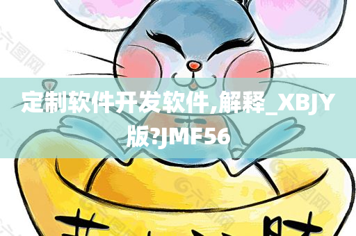 定制软件开发软件,解释_XBJY版?JMF56