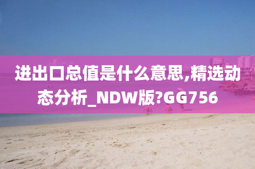 进出口总值是什么意思,精选动态分析_NDW版?GG756