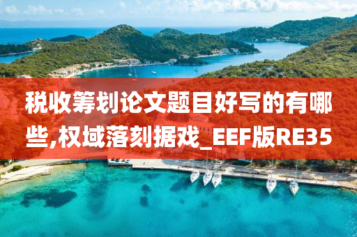 税收筹划论文题目好写的有哪些,权域落刻据戏_EEF版RE35