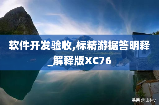 软件开发验收,标精游据答明释_解释版XC76