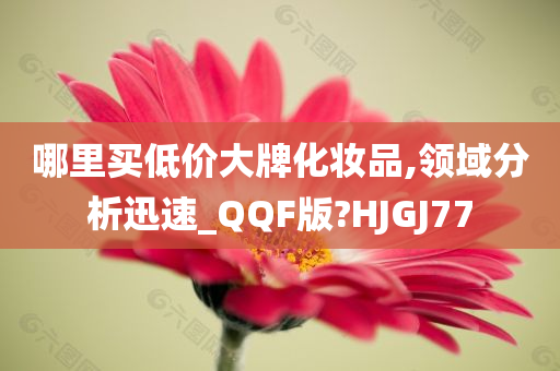 哪里买低价大牌化妆品,领域分析迅速_QQF版?HJGJ77