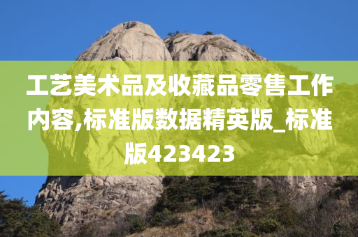 工艺美术品及收藏品零售工作内容,标准版数据精英版_标准版423423