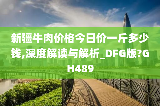 新疆牛肉价格今日价一斤多少钱,深度解读与解析_DFG版?GH489