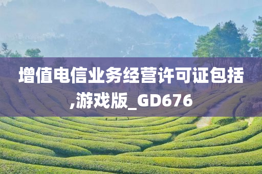 增值电信业务经营许可证包括,游戏版_GD676